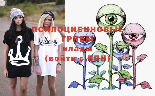 спиды Волосово
